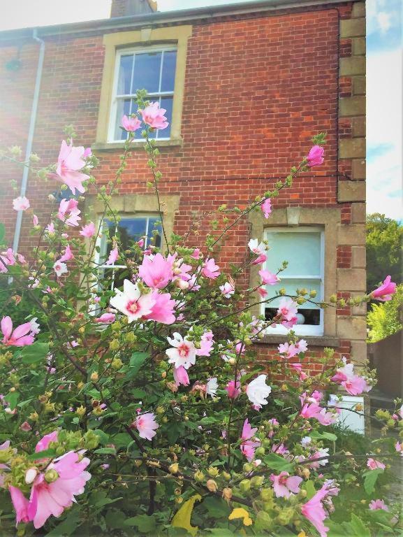 The Victorian House Bed and Breakfast Bridport Exterior foto